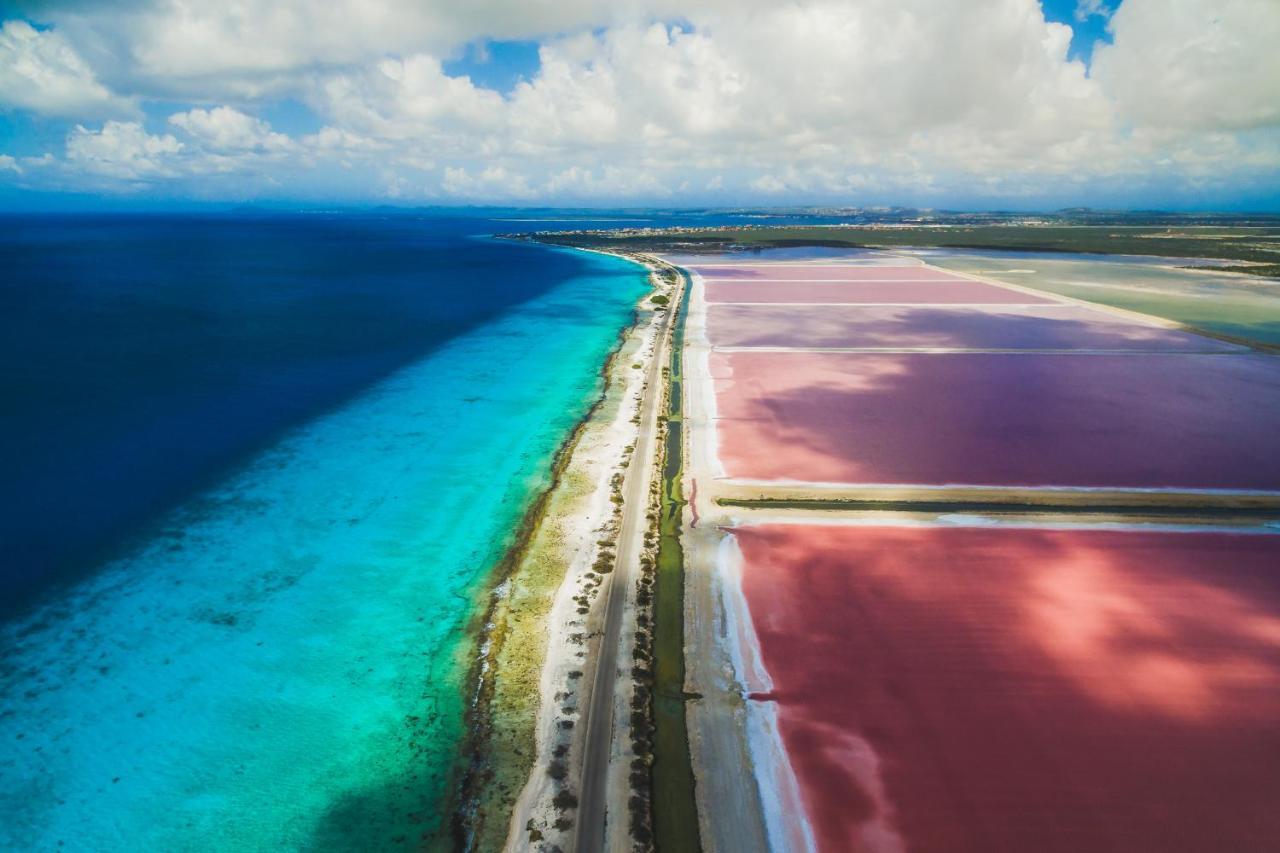 Casa Mantana Bonaire Bed & Breakfast คราเลนไดค์ ภายนอก รูปภาพ
